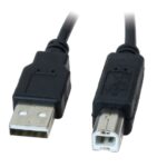 Xtech - USB cable - 1.8 m - 4 pin USB Type B - 4 pin USB Type A - 2.0 a-male b-male