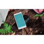 TP-Link M7000 - Punto activo móvil - 4G LTE - 150 Mbps - 802.11b/g/n - Wi-Fi móvil 4G LTE de 150 Mbps - Módem 4G LTE integrado de 150 Mbps - Velocidad 300 Mbps a 2.4 GHz - aplicación 4G Cat4 150/50 Mbps-LTE-FDD/LTE-TDD/HSPA+/UMTS-tpMiFi - batería recargable de 2000 mAH